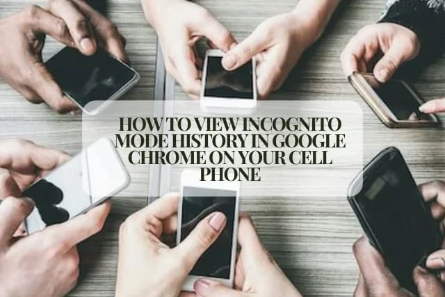 How To View Incognito Mode History In Google Chrome On Your Cell Phone